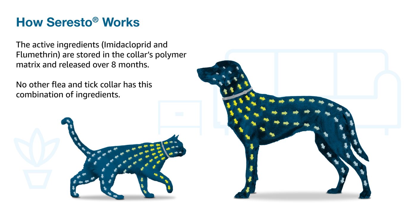 How the Seresto collar works across the coat of a dog and a cat
